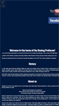 Mobile Screenshot of boxing-professor.com